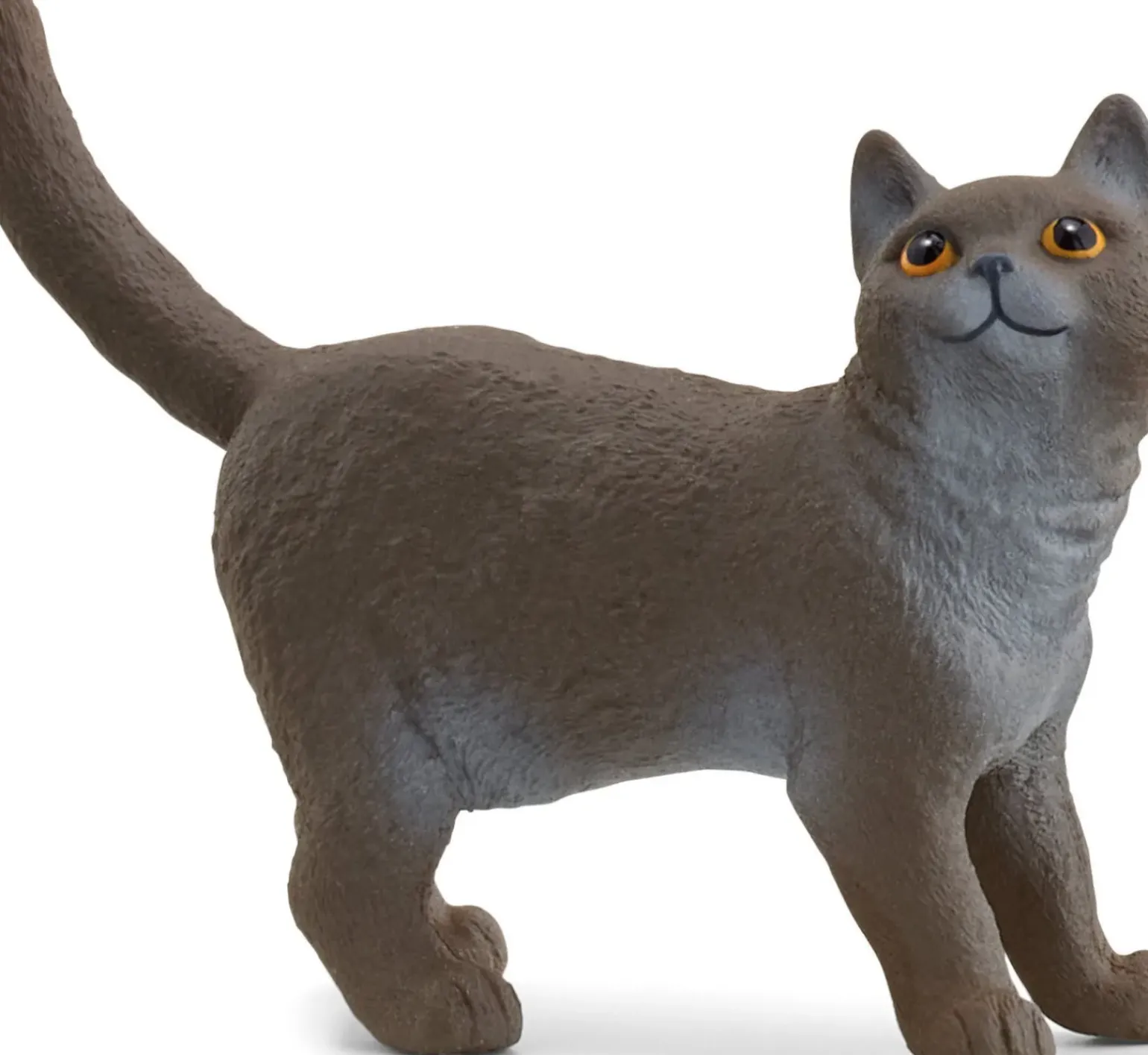 Gato Británico De Pelo Curto Schleich