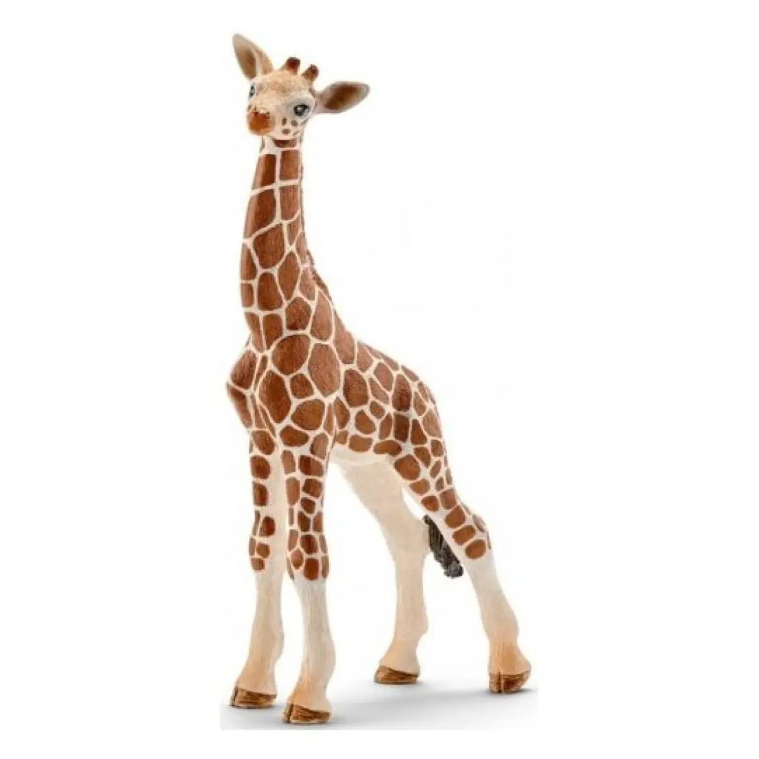 Girafa Cria