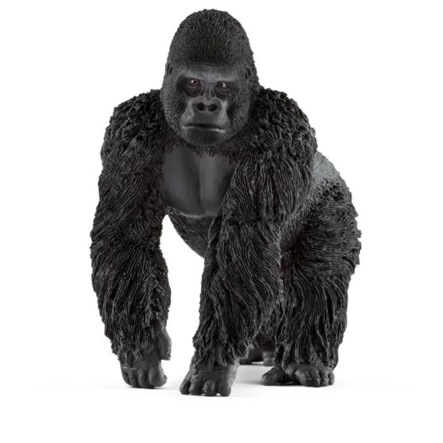 Gorila Macho