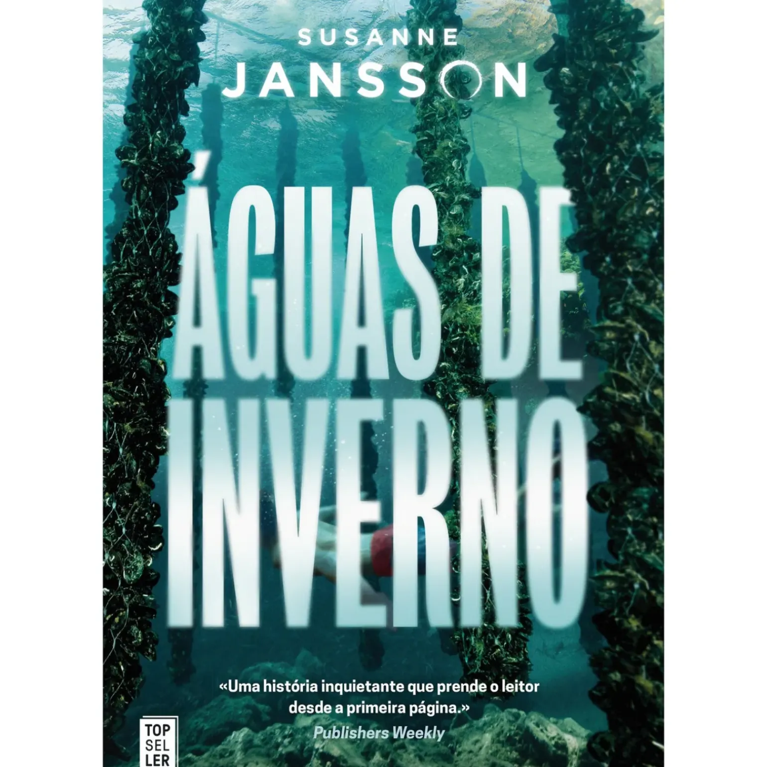 Águas de Inverno de Susanne Jansson de Susanne Jansson