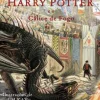 Harry Potter e o Cálice de Fogo de J. K. Rowling - Edição Ilustrada