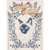 História de um Gato de Laura Agustí