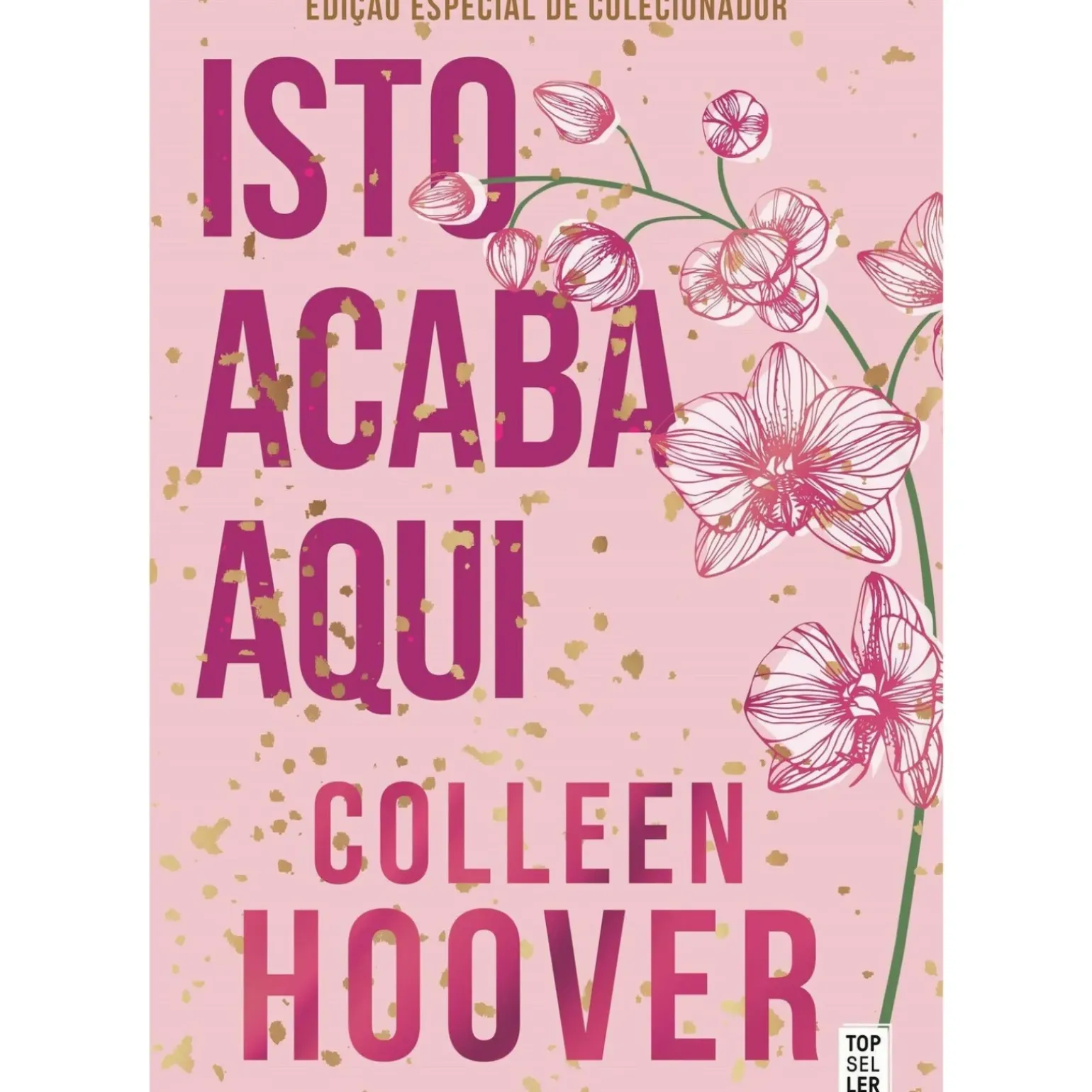 Isto Acaba Aqui: Edição de Colecionador de Colleen Hoover