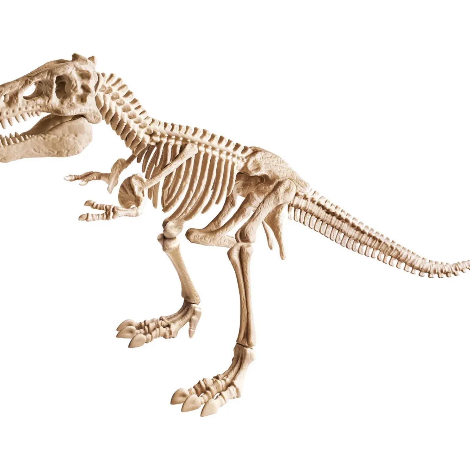 Kit Arqueologia - T-Rex Gigante