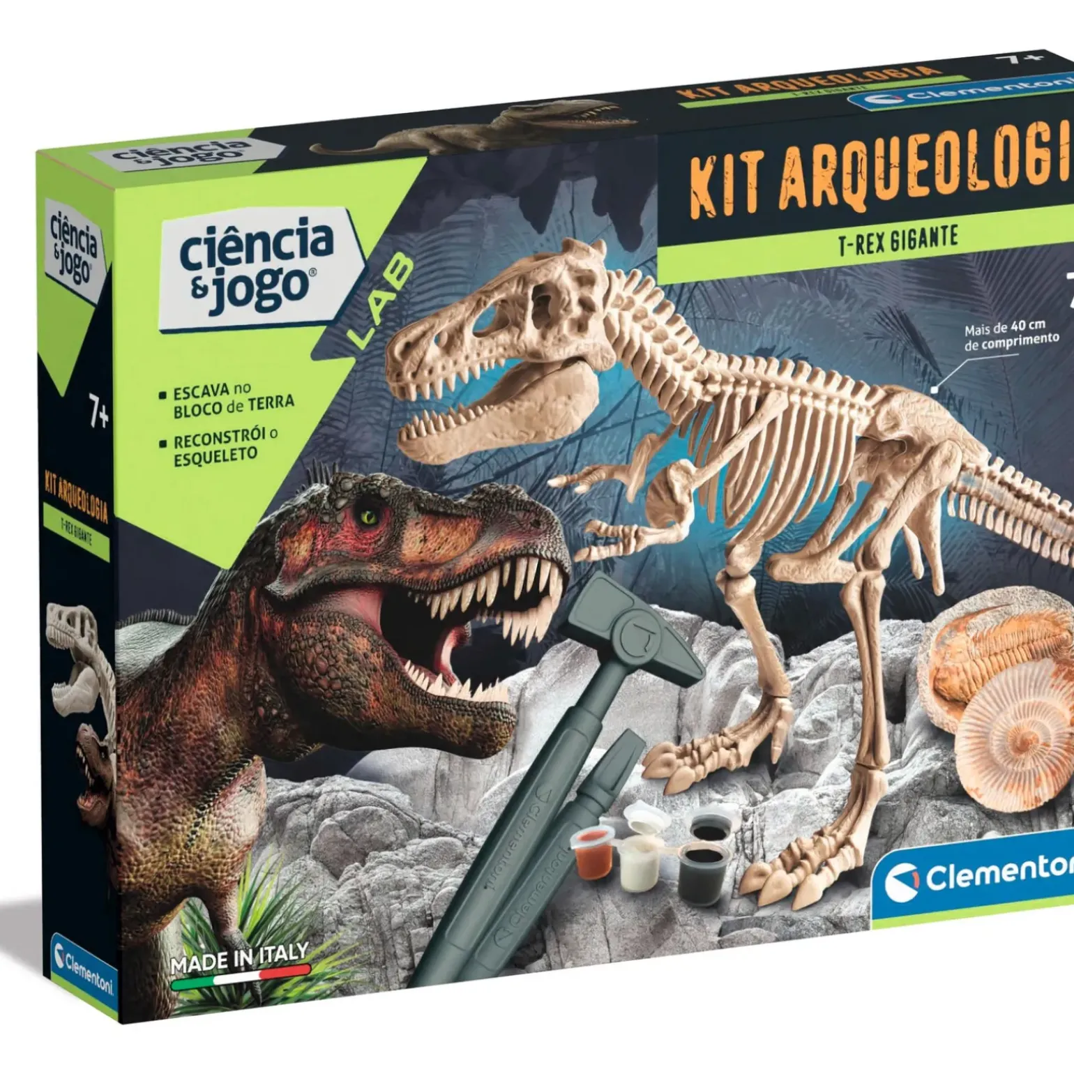 Kit Arqueologia - T-Rex Gigante