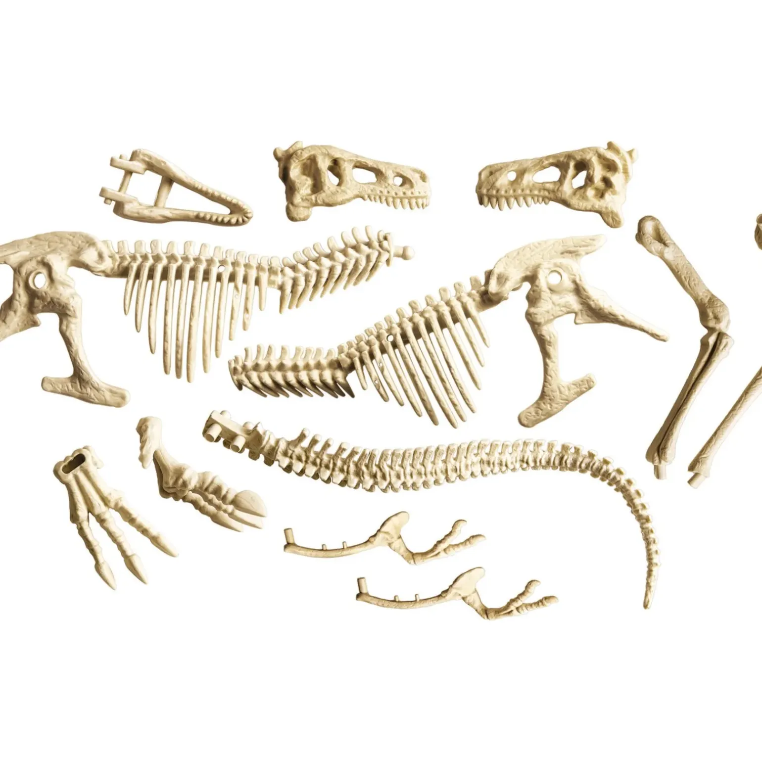 Kit Arqueologia - T-Rex Gigante