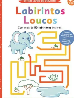 Labirintos Loucos de Elizabeth Golding - O Meu Livro de Desafios: