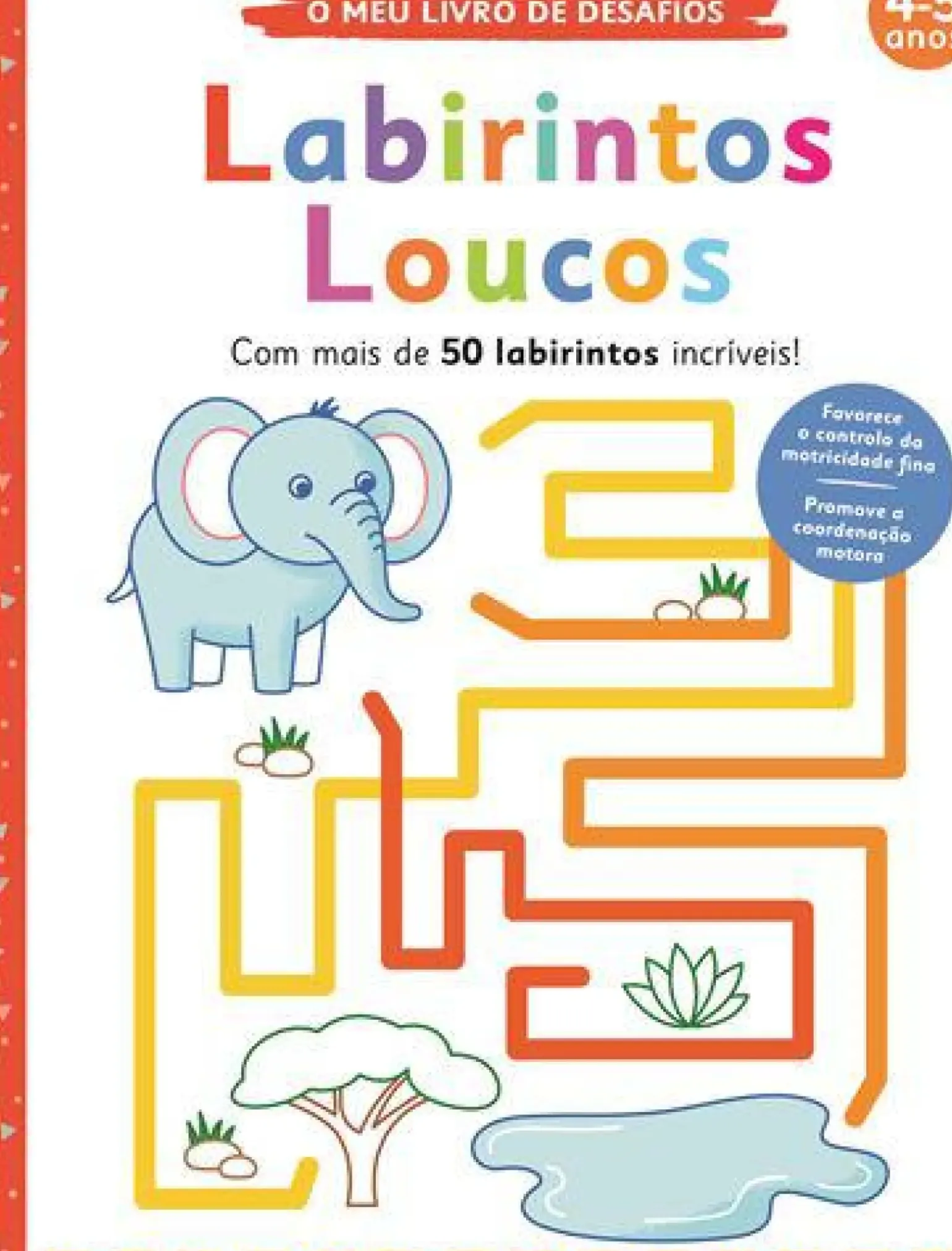 Labirintos Loucos de Elizabeth Golding - O Meu Livro de Desafios: