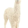 Lama