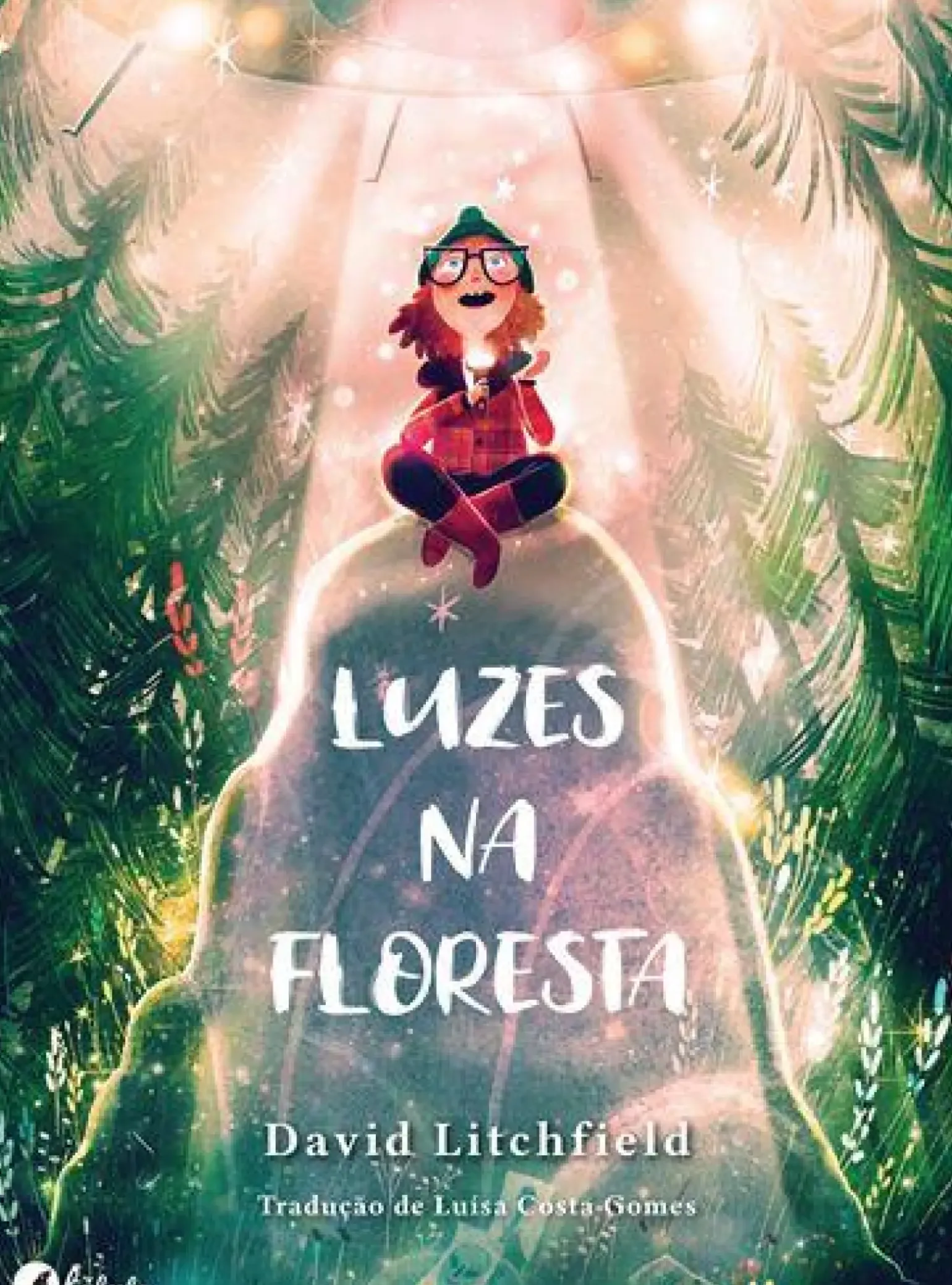 Luzes na Floresta de David Litchfield