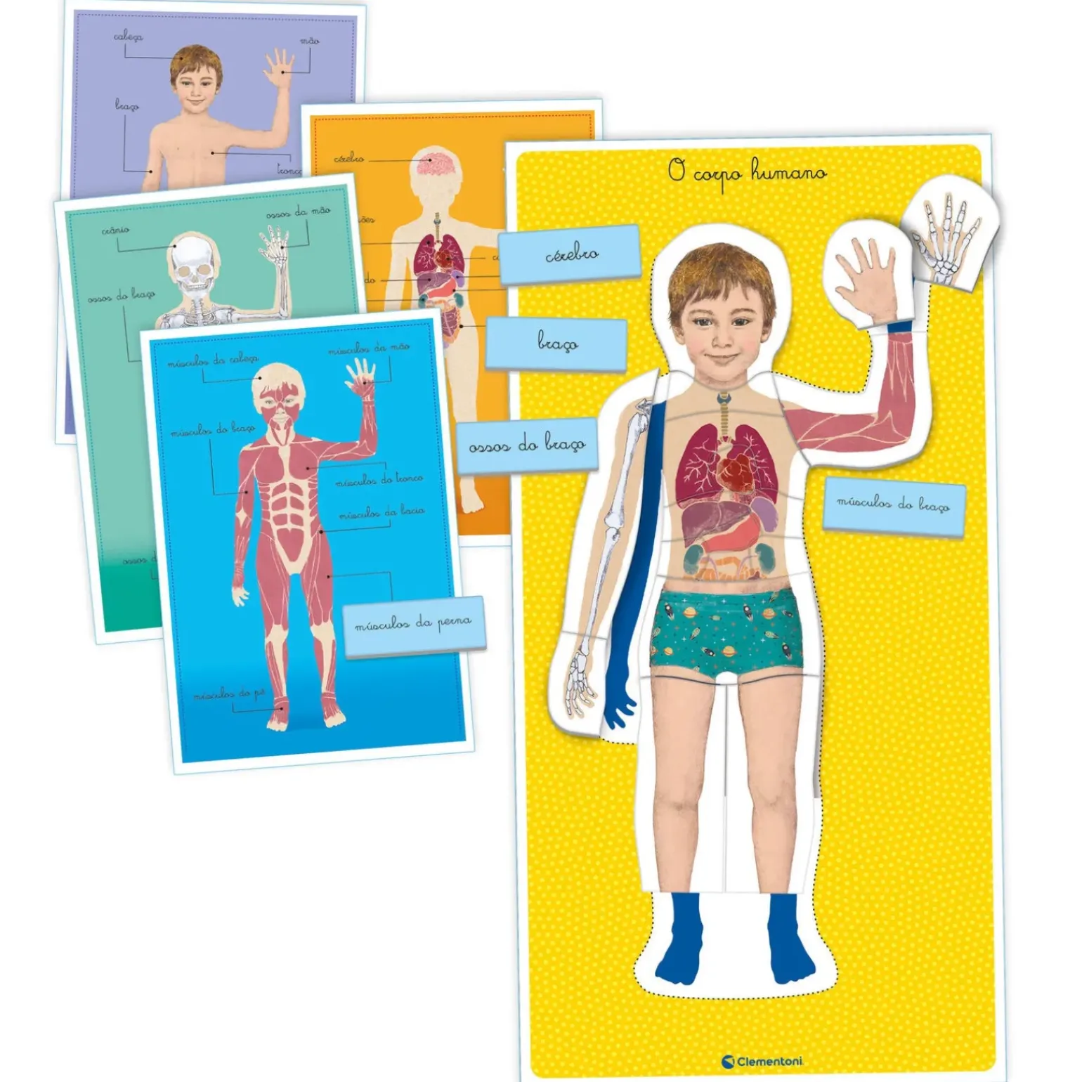 Montessori - Corpo Humano Clementoni