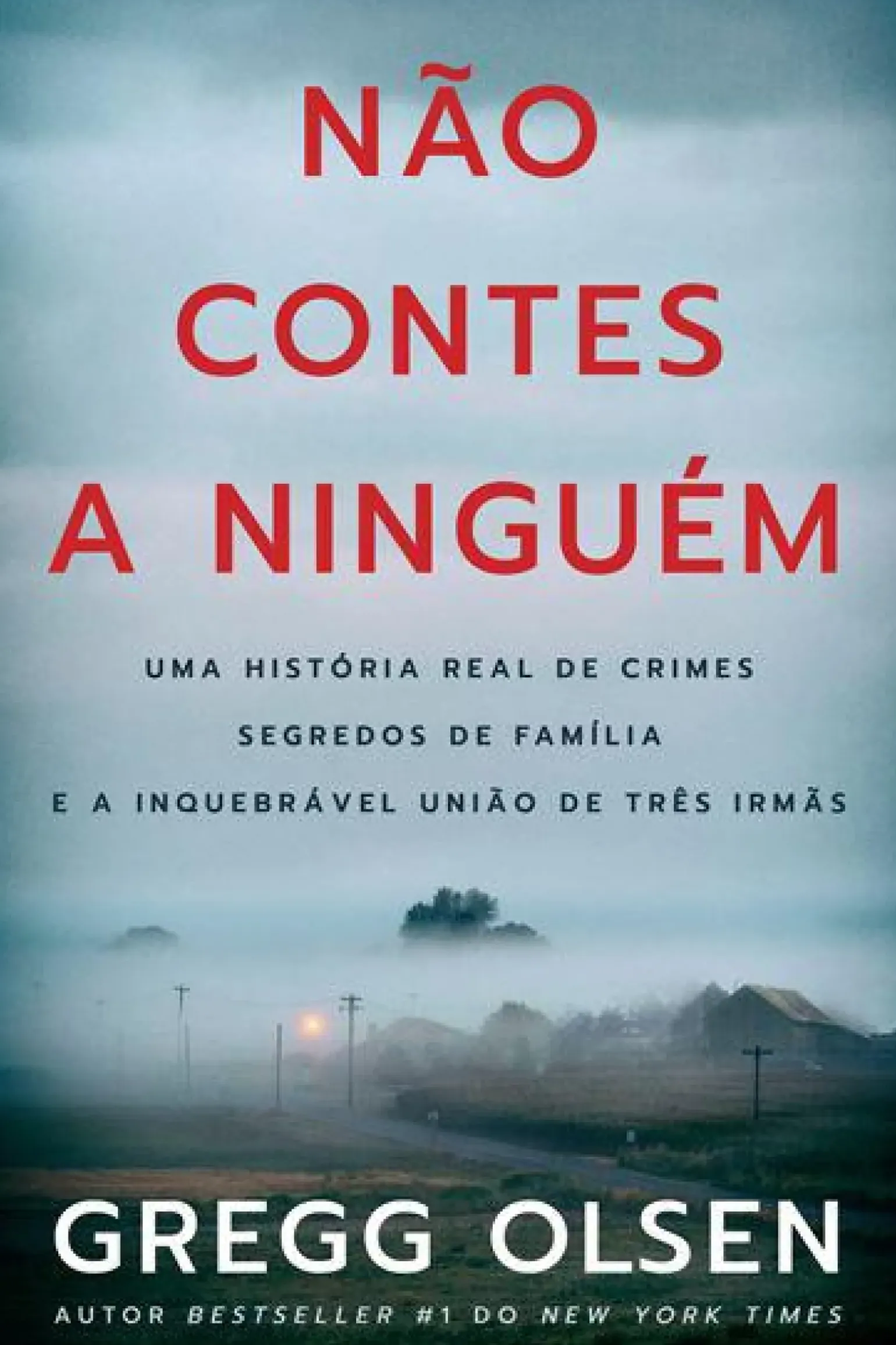 Não Contes a Ninguém de Gregg Olsen