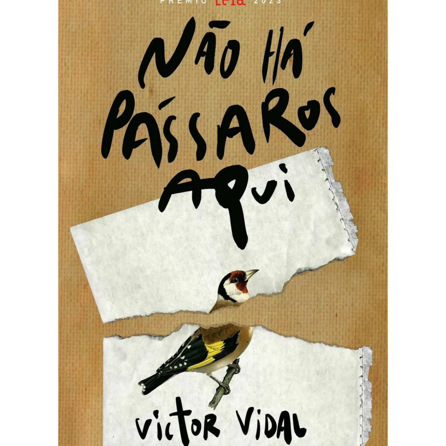 Não Há Pássaros Aqui de Victor Vidal