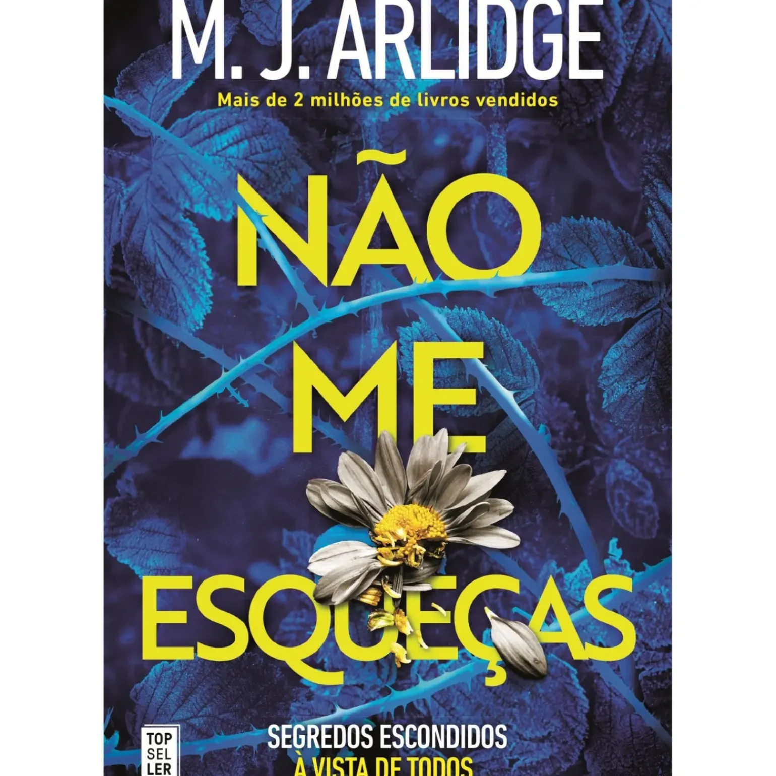 Não Me Esqueças de M. J. Arlidge