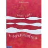 Notas Sobre a Impermanência de Paula Gicovate