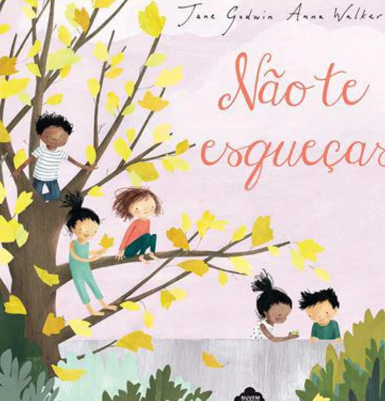 Não Te Esqueças de Jane Godwin