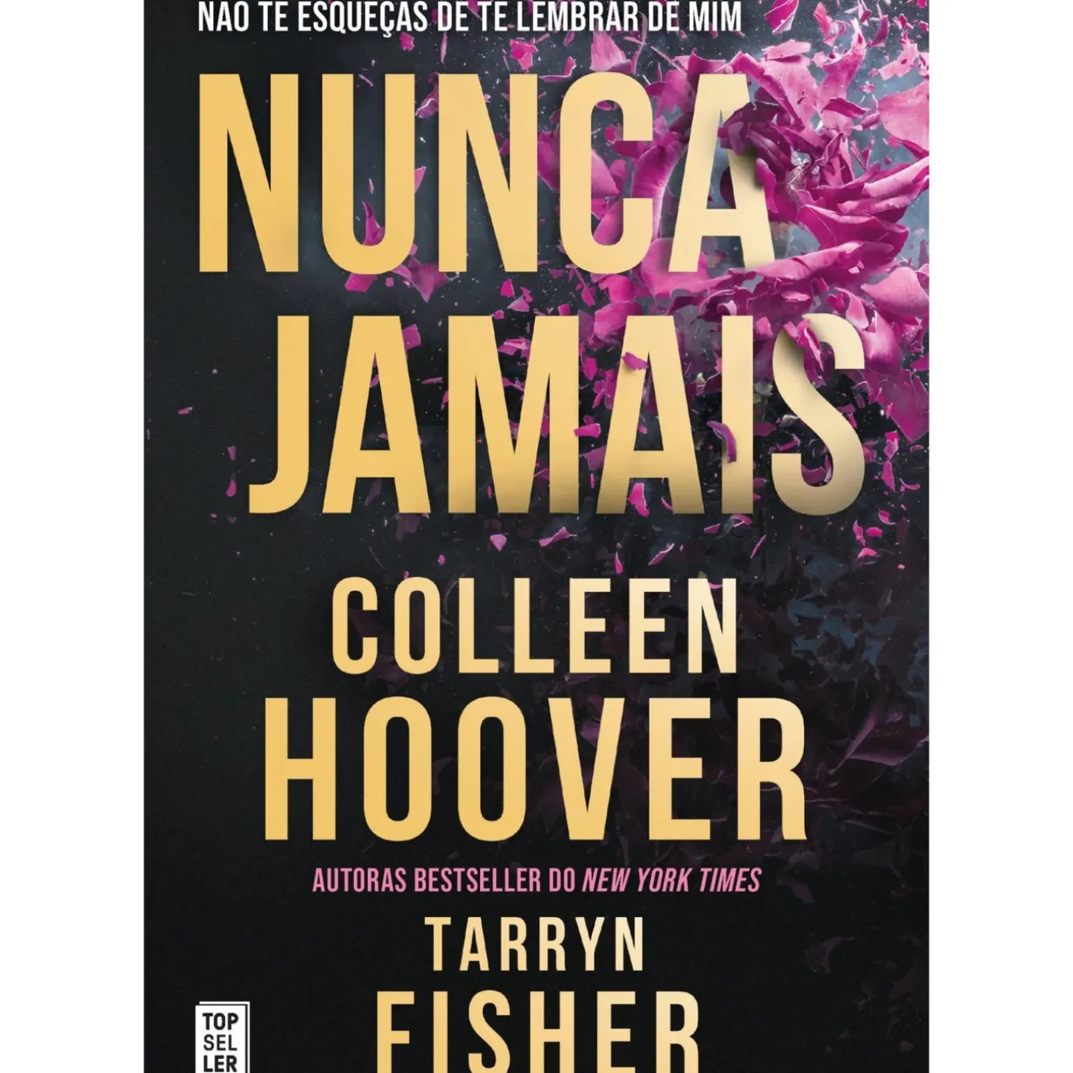 Nunca Jamais de Colleen Hoover/Tarryn Fisher