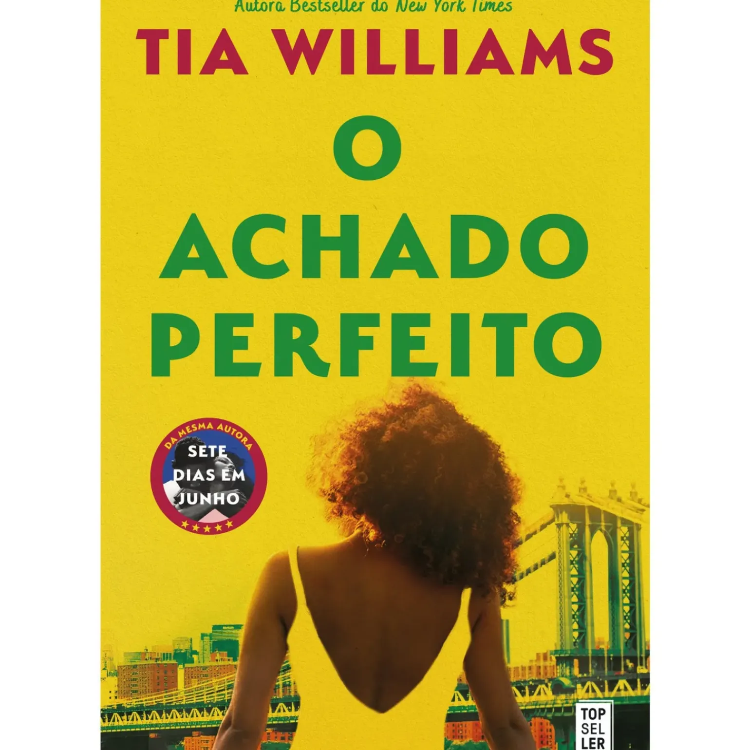 O Achado Perfeito de Tia Williams