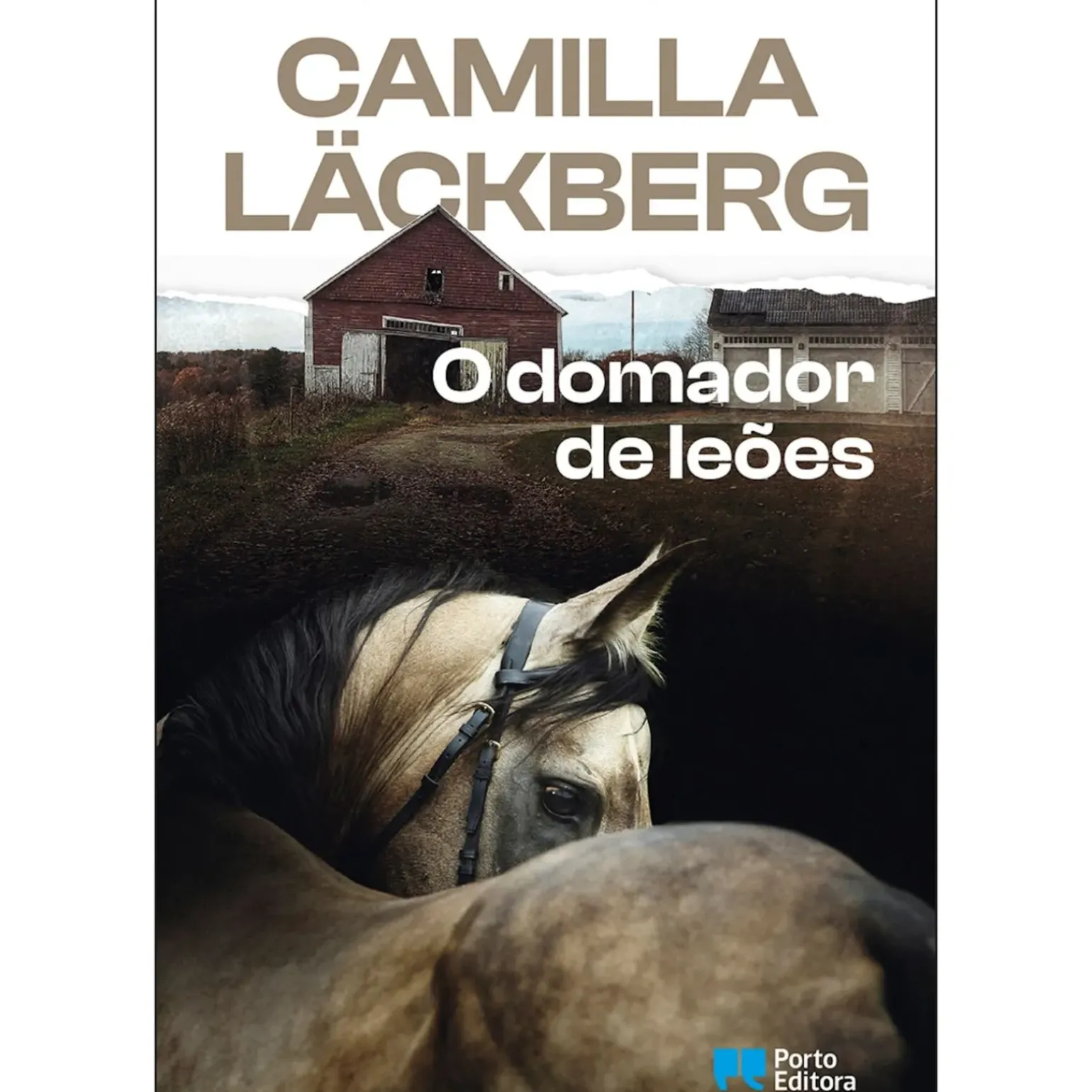 O Domador de Leões de Camilla Läckberg