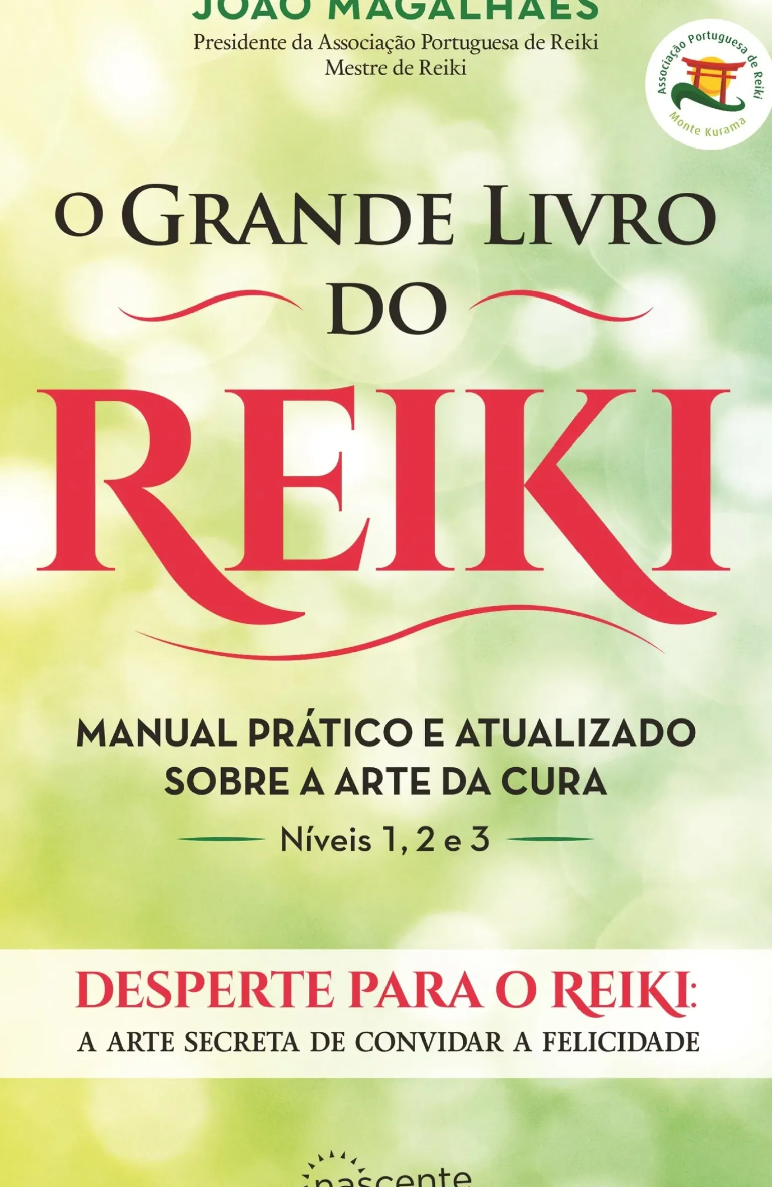 O Grande Livro do Reiki de João Magalhães - Manual Prático e Atualizado Sobre a Arte da Cura (9ª Edição)
