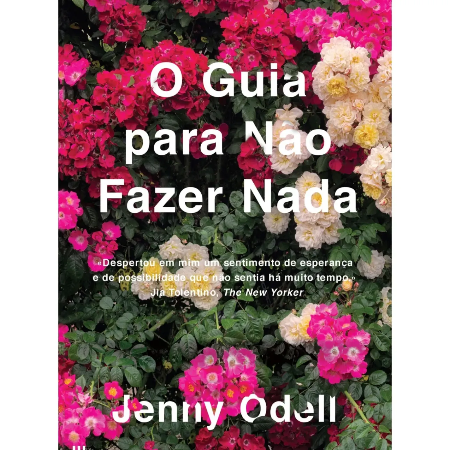 O Guia para Não Fazer Nada de Jenny Odell