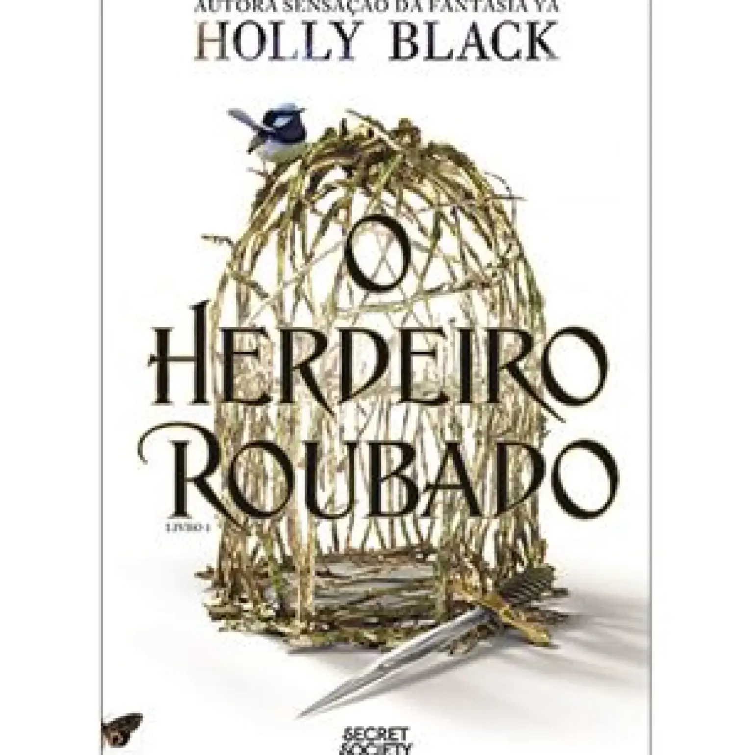 O Herdeiro Roubado de Holly Black