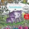 O Livro da Tinta Mágica - Animais