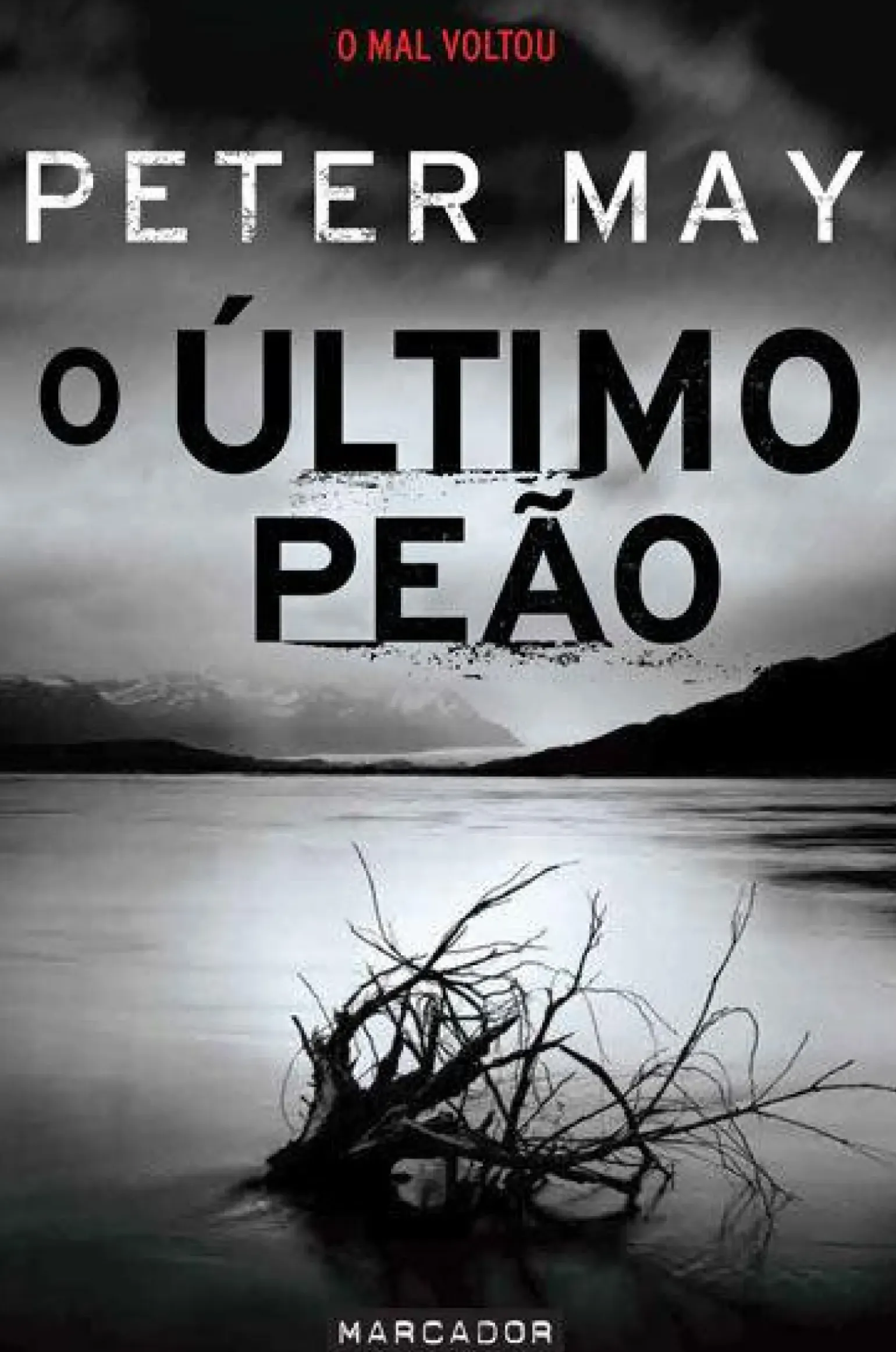 O Último Peão de Peter May