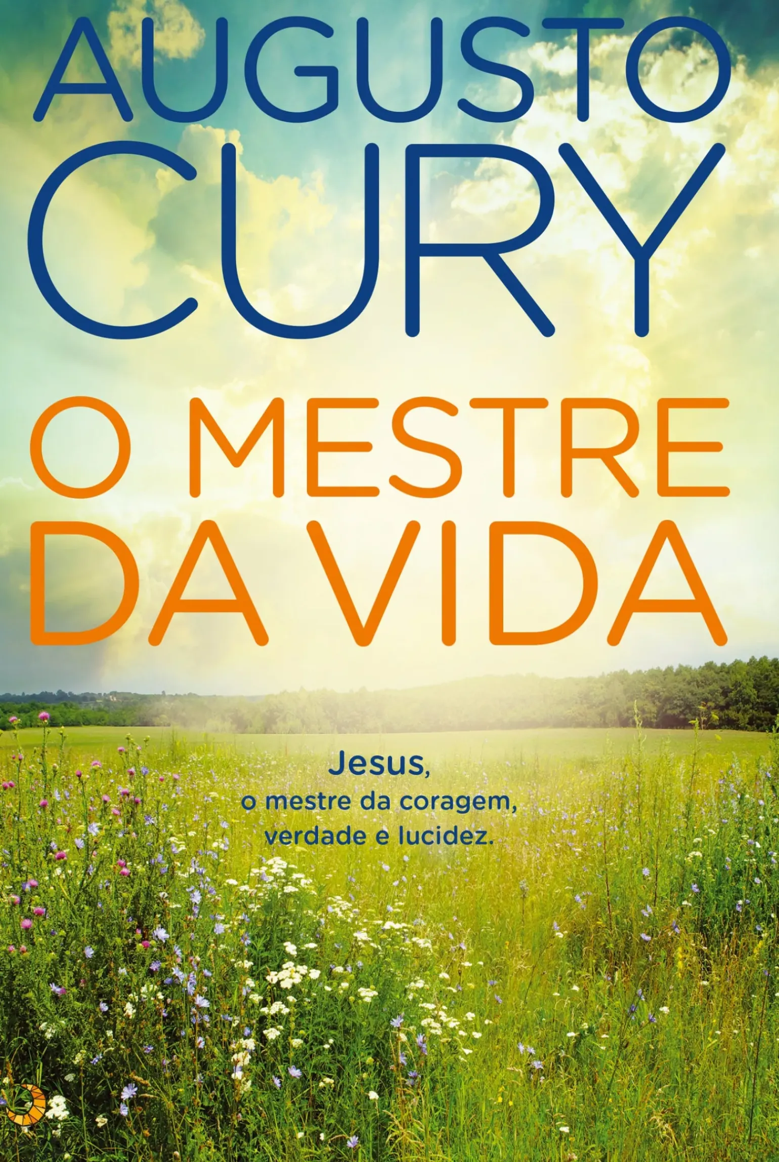 O Mestre da Vida de Augusto Cury