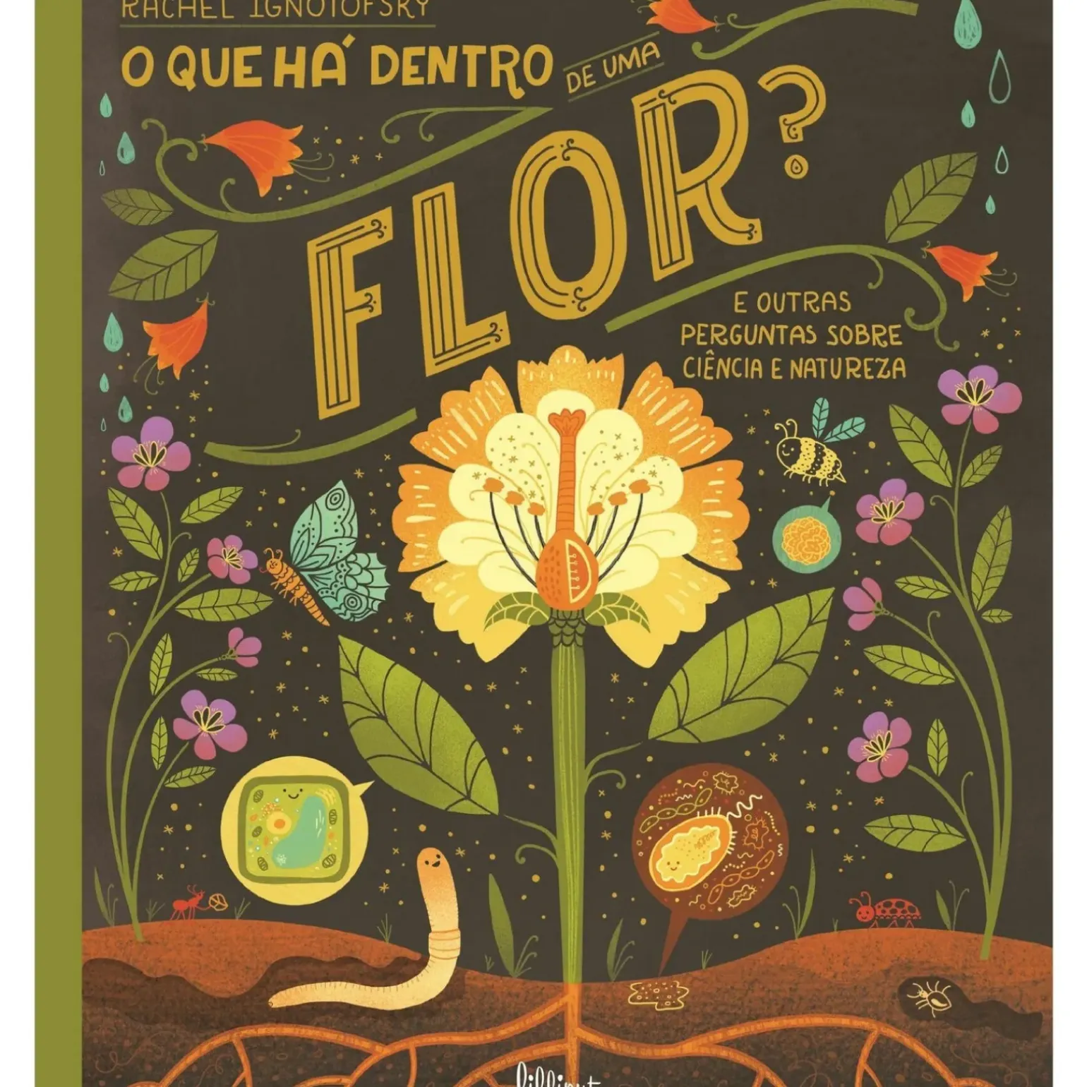 O que Há Dentro de uma Flor? de Rachel Ignotofsky