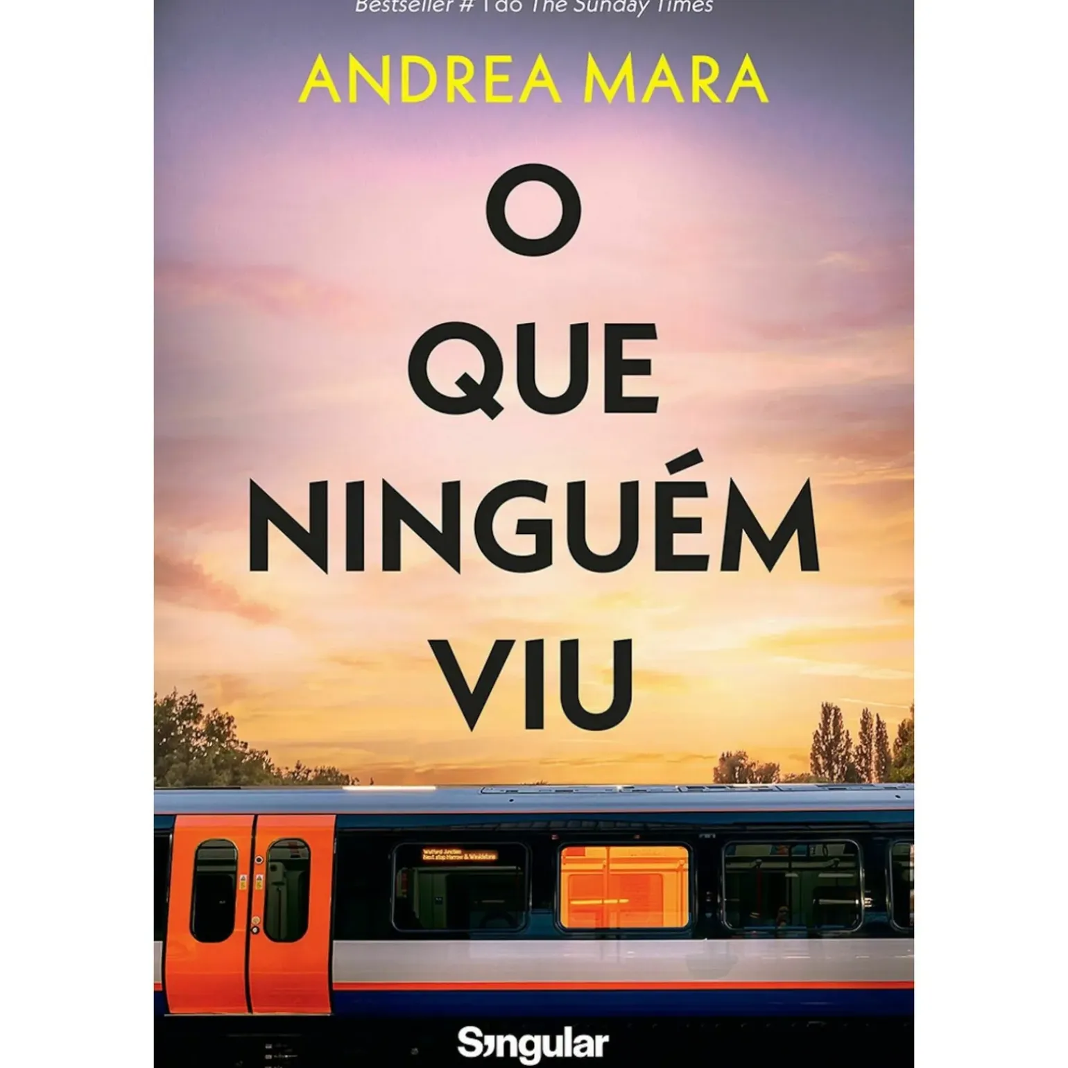 O que Ninguém Viu de Andrea Mara