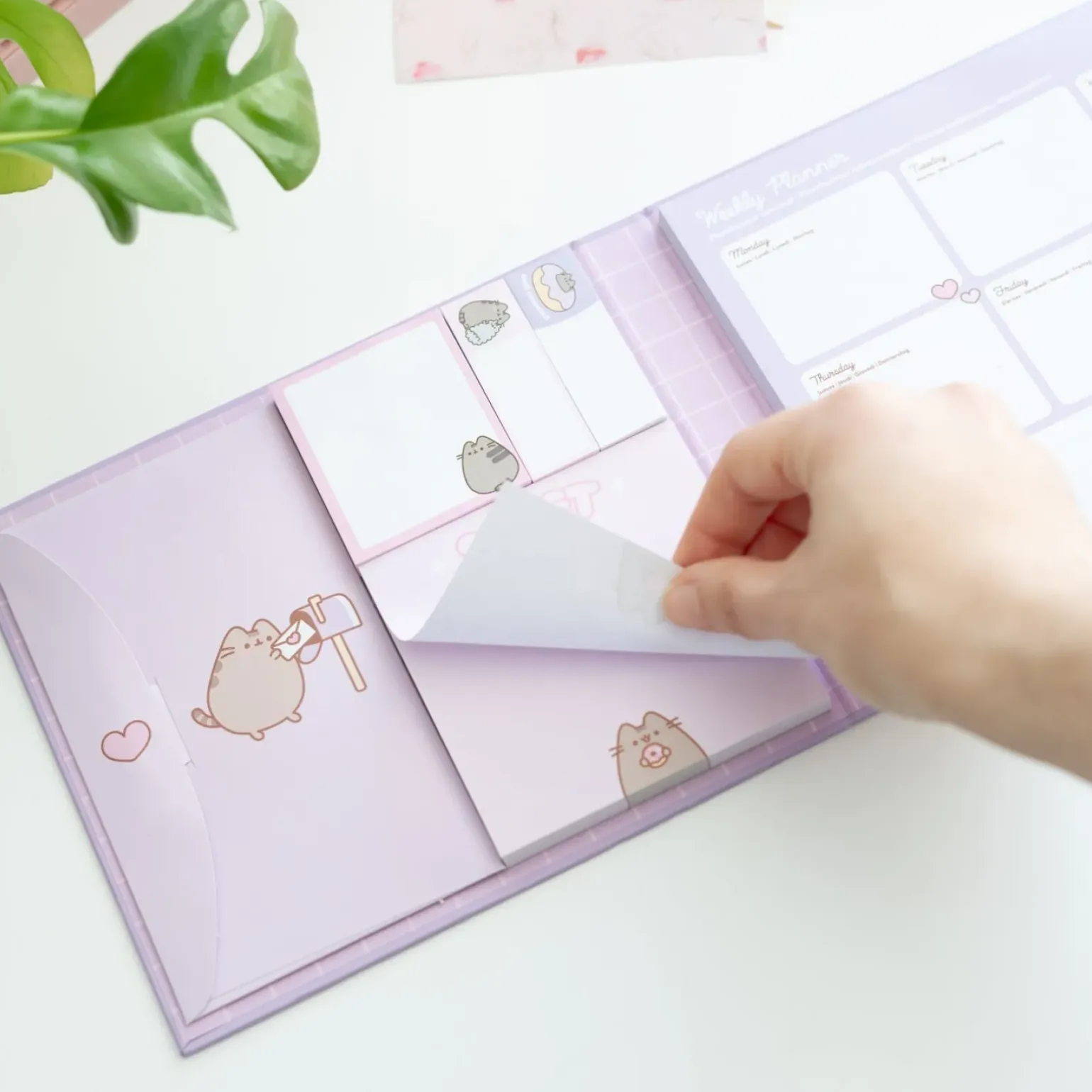 Organizador Com Notas Aderentes - Pusheen