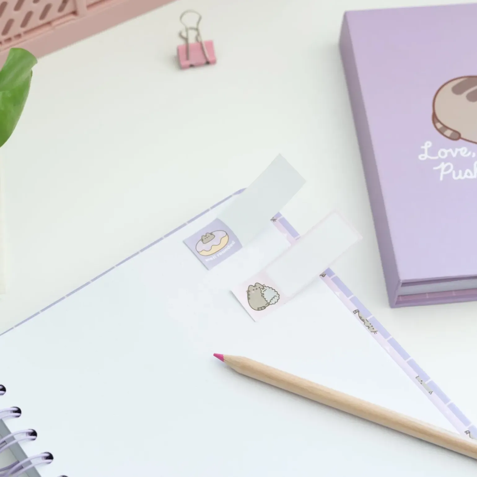 Organizador Com Notas Aderentes - Pusheen
