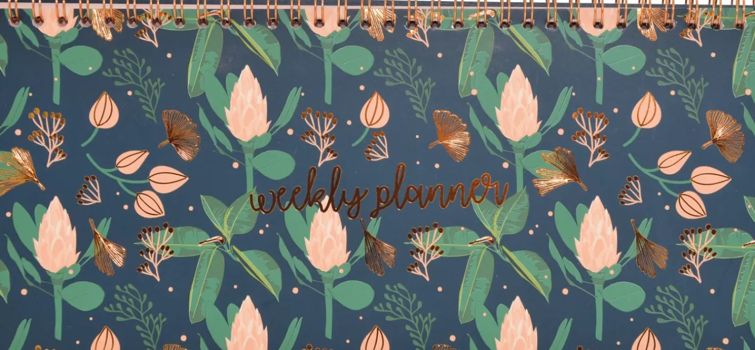 Organizador Secretária - Classy Sassy
