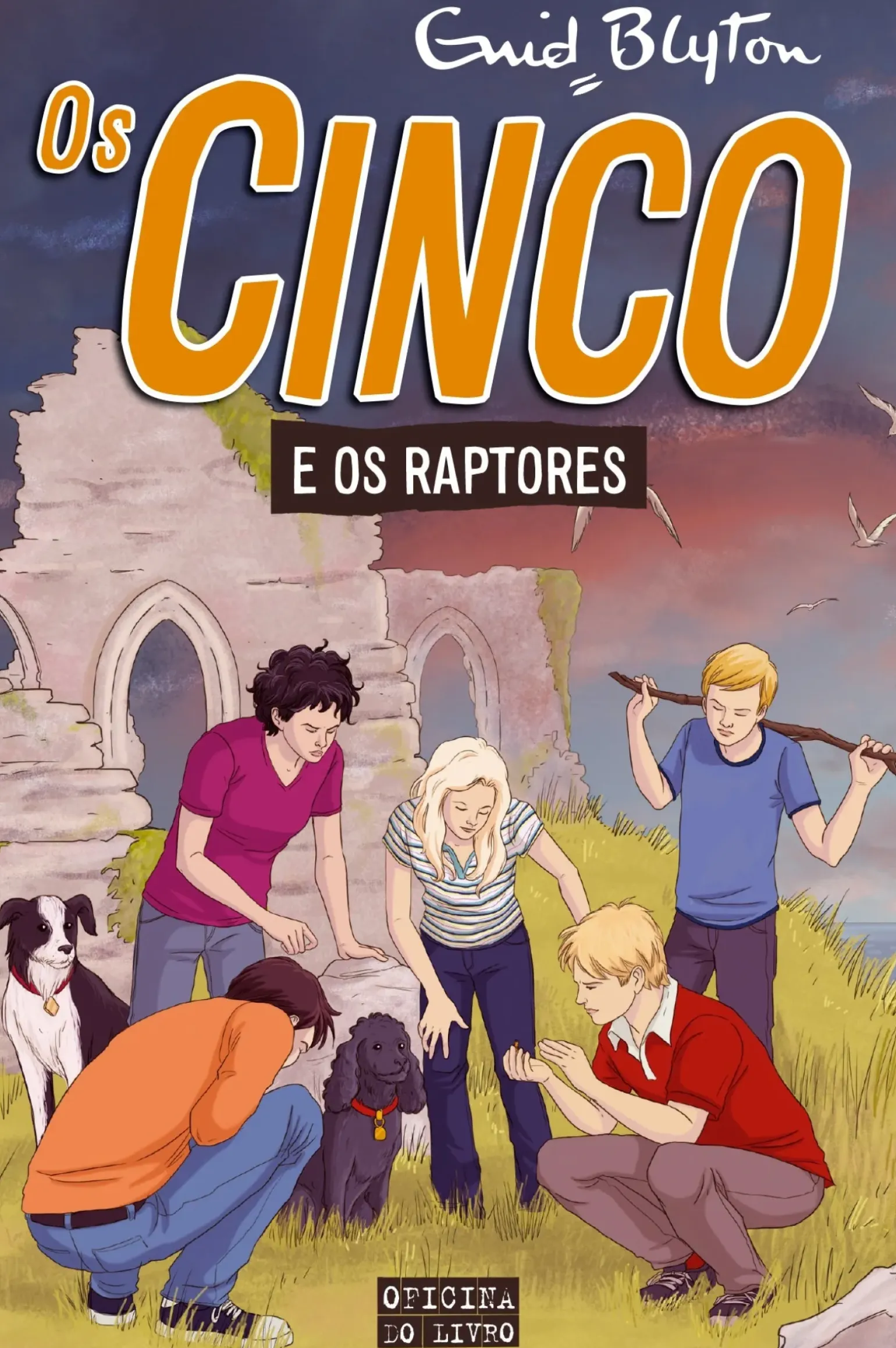 Os Cinco Nº 14 - os Cinco e os Raptores de Enid Blyton