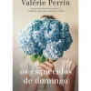Os Esquecidos de Domingo de Valerie Perrin