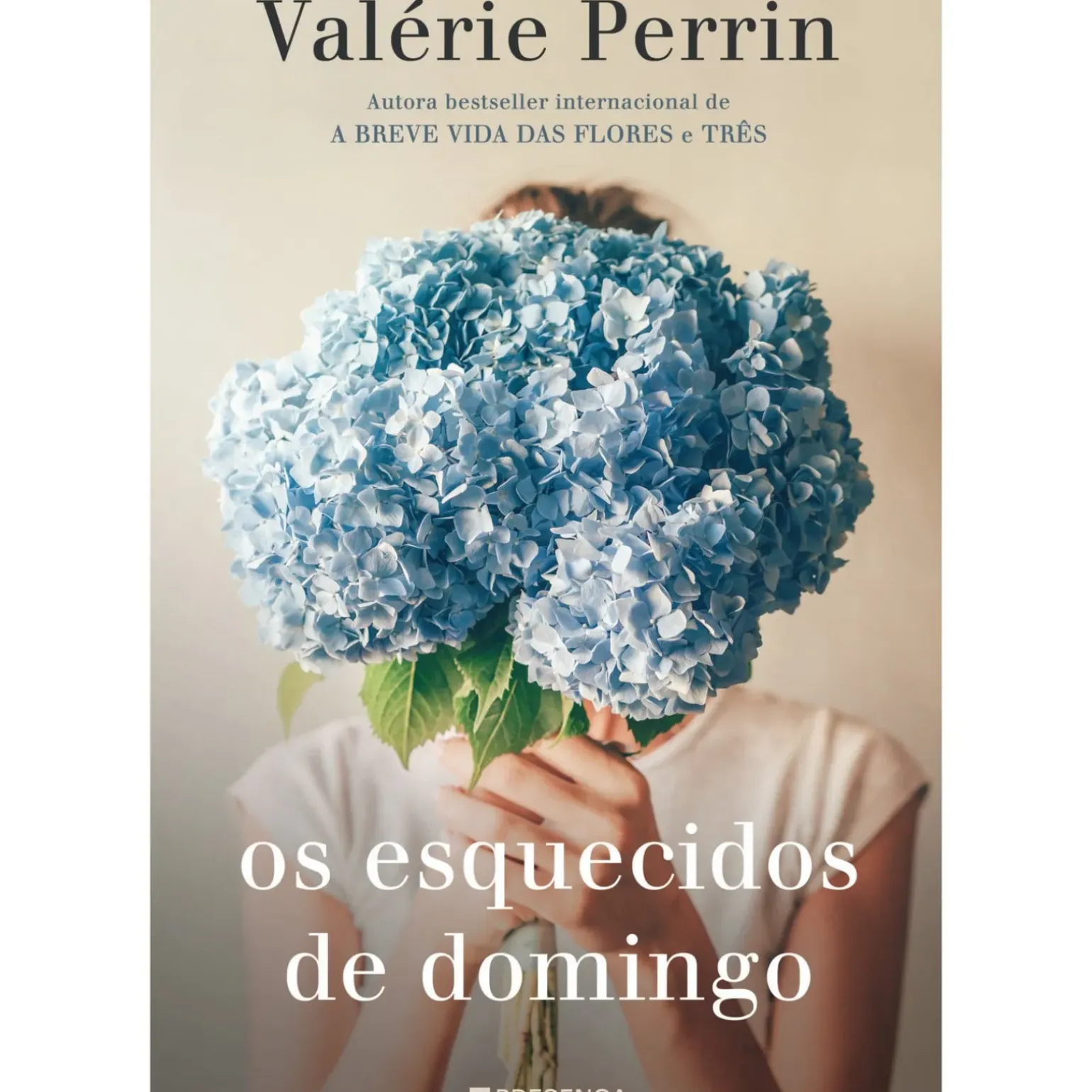 Os Esquecidos de Domingo de Valerie Perrin