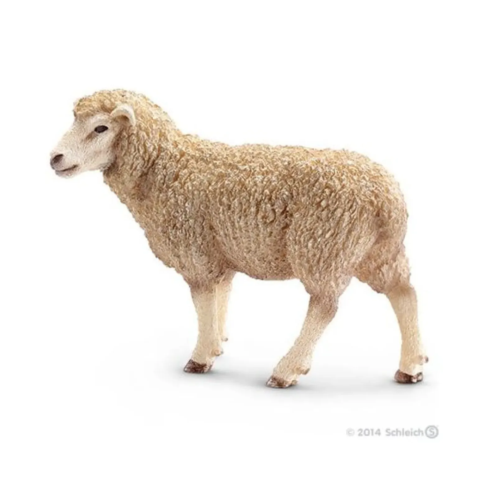 Ovelha