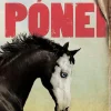 Pónei de R. J. Palacio