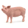 Porco Schleich