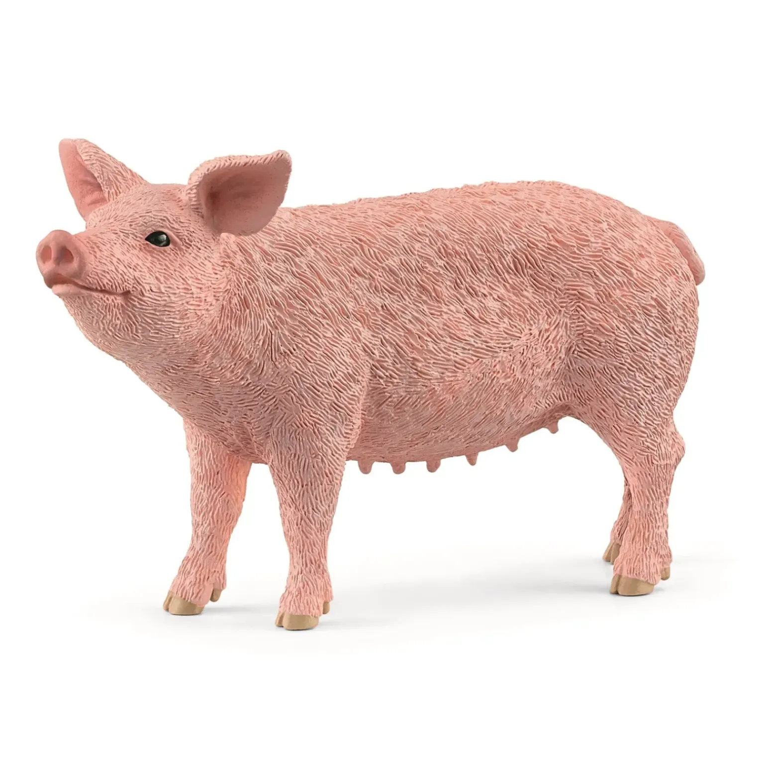 Porco Schleich