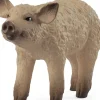 Porquinho Lanoso Schleich