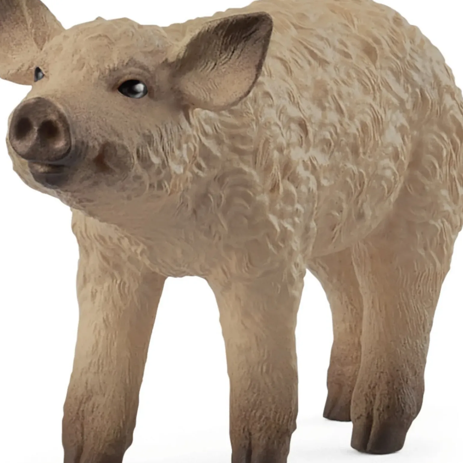 Porquinho Lanoso Schleich