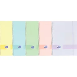 Portefólio 40 Bolsas Pastel Oxford (artigo sortido)
