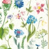 Postal - Flores Shiny