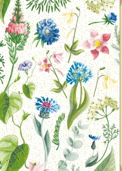 Postal - Flores Shiny