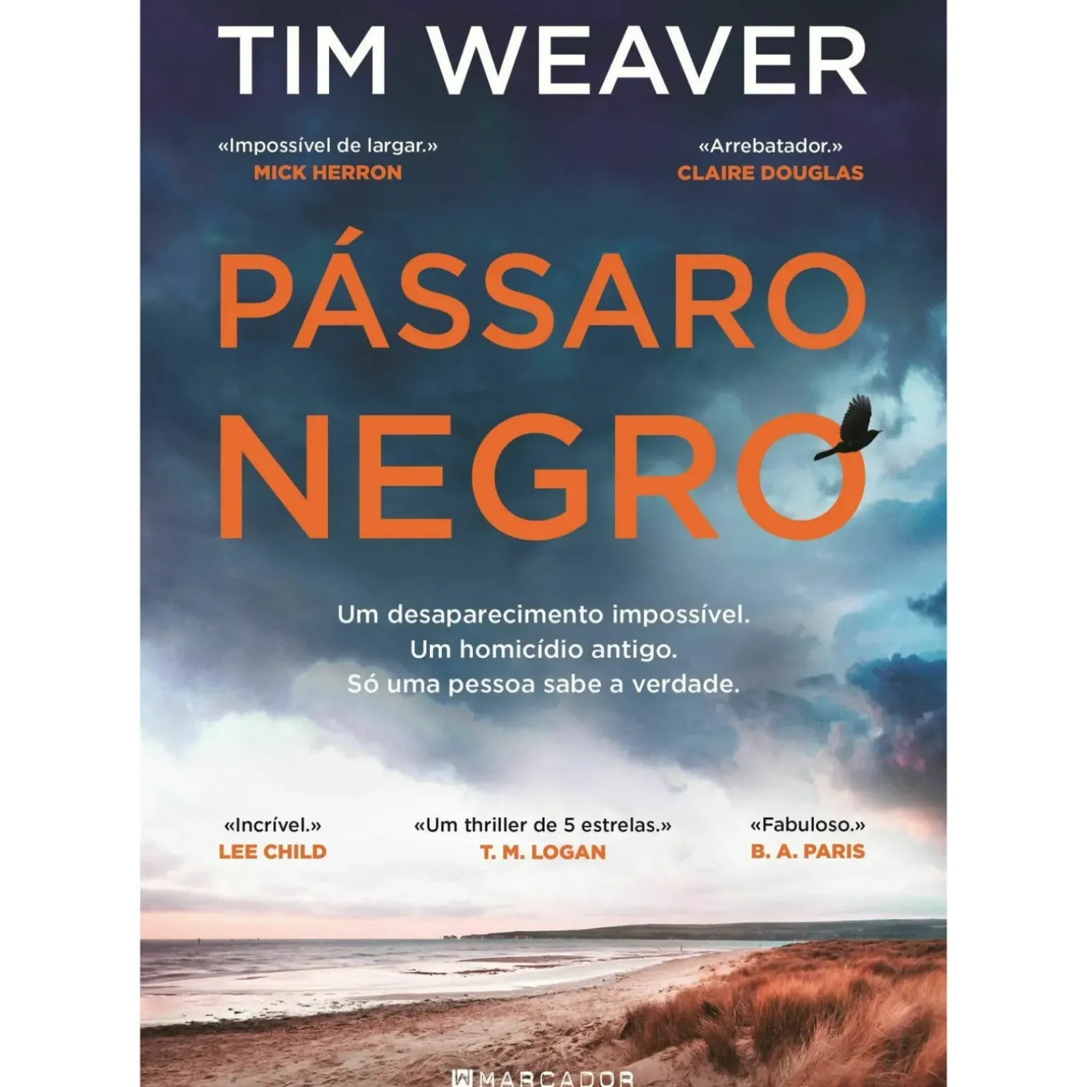 Pássaro Negro de Tim Weaver