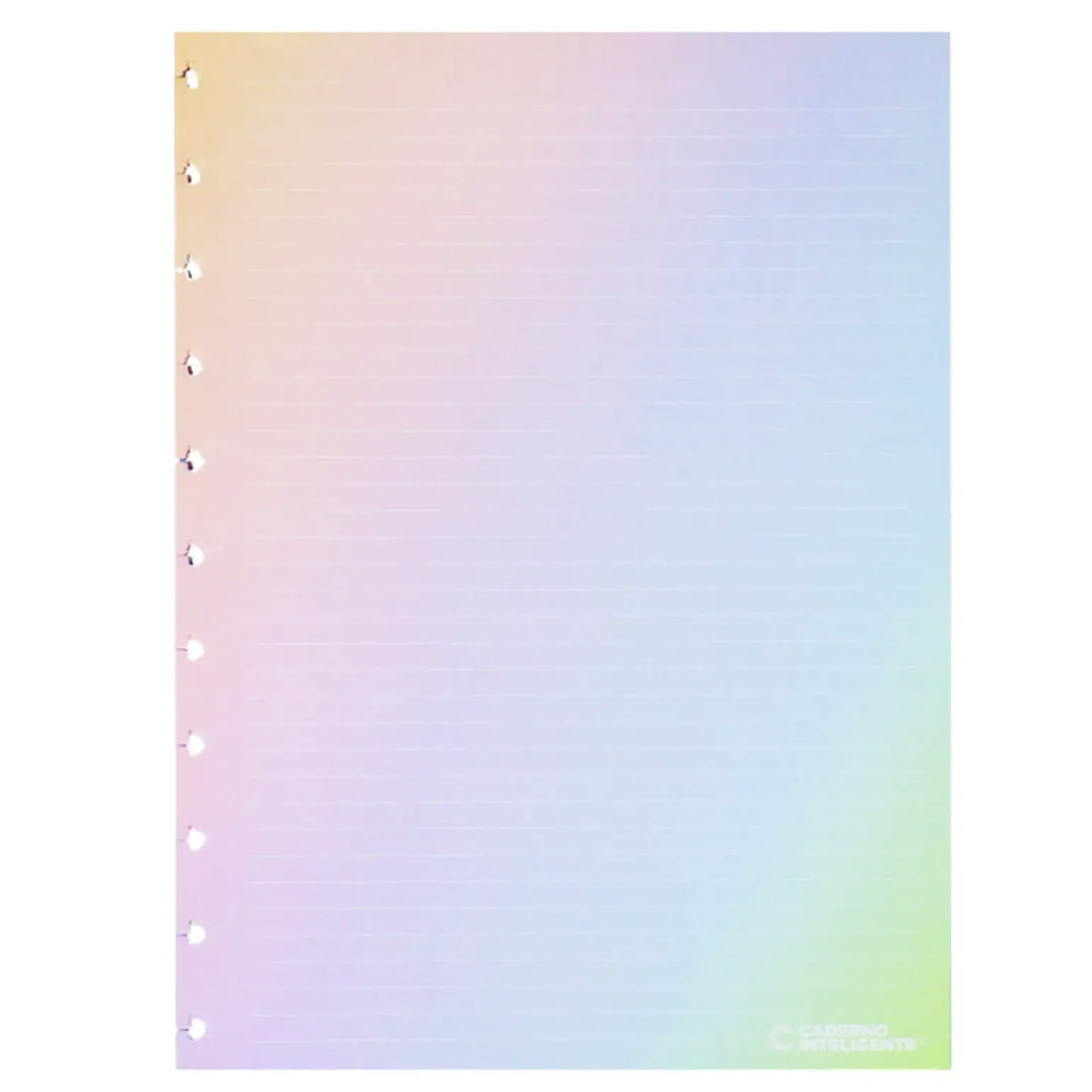 Recarga Grande 30 Folhas 120gr Rainbow