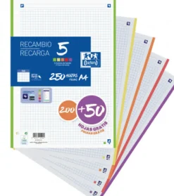 Recarga Papel A4 Quadriculado com Cor nas Margens