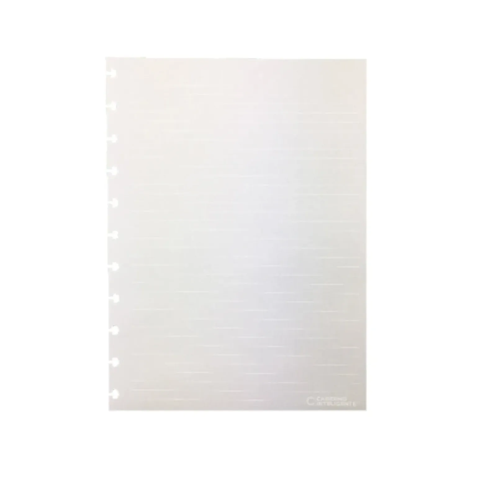 Recargas Caderno Inteligente Grande Pautadas 120G Branco